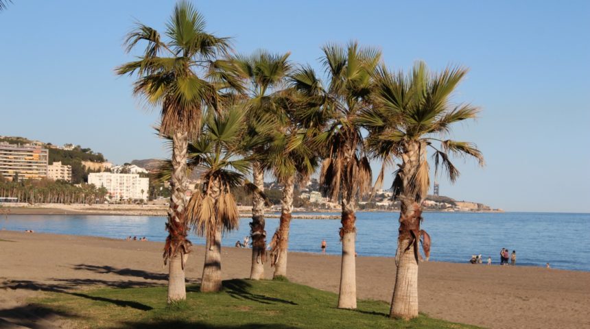 Malaqueta