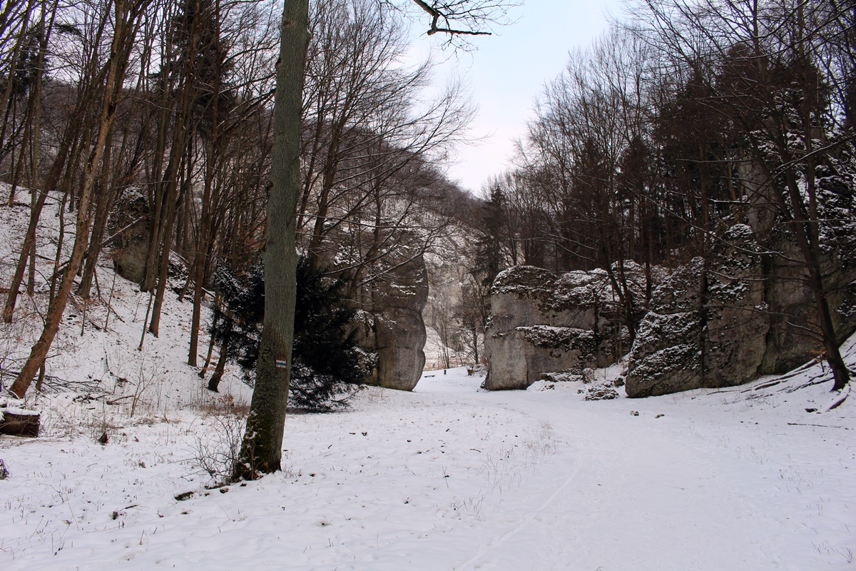 Ojcowski Park Narodowy