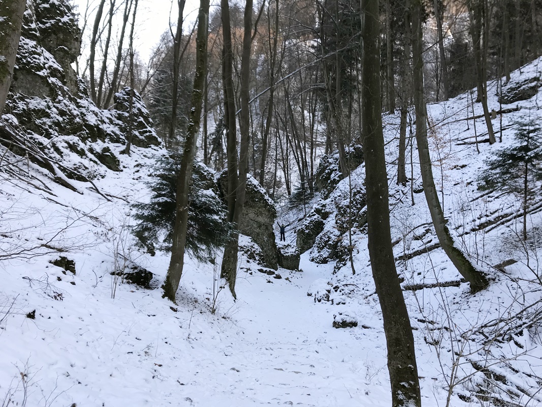 Ojcowski Park Narodowy