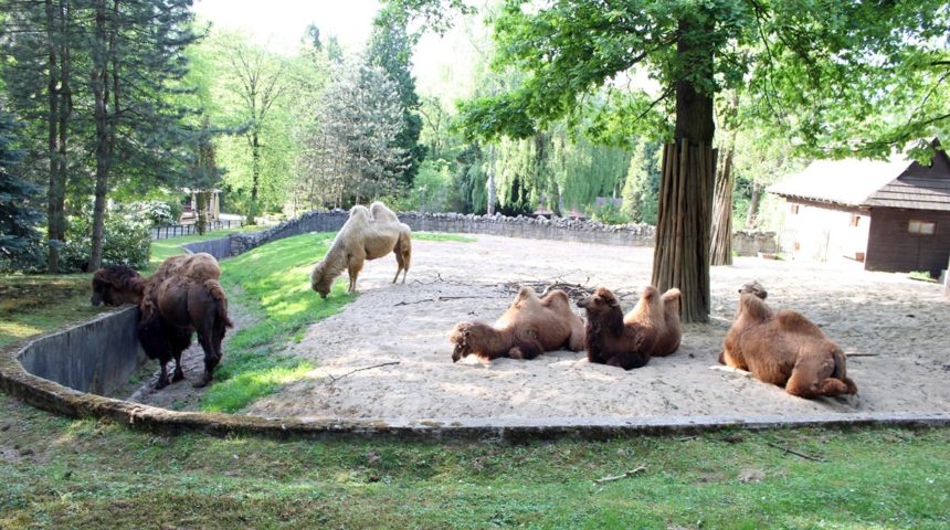 Krakowskie-Zoo