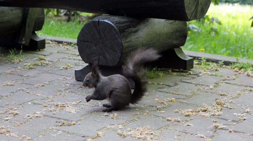 Krakowskie-Zoo