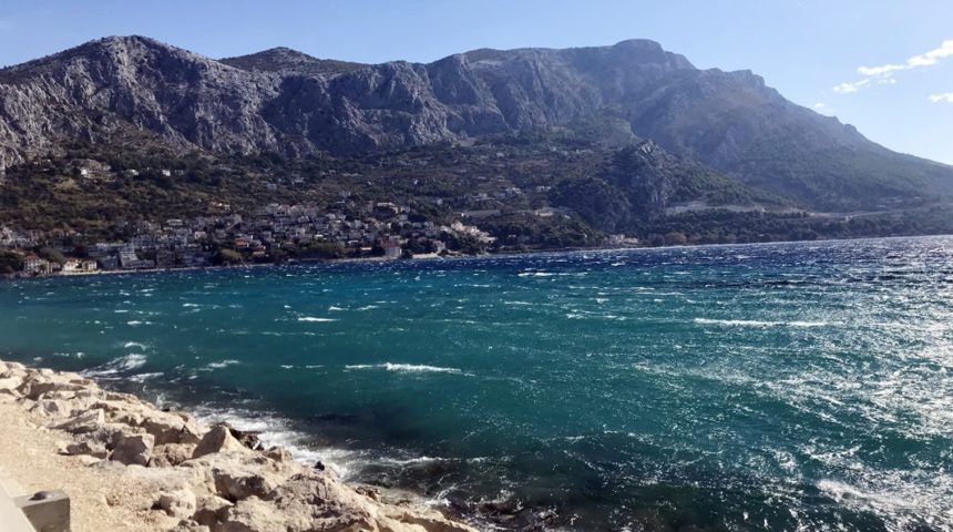 Omis
